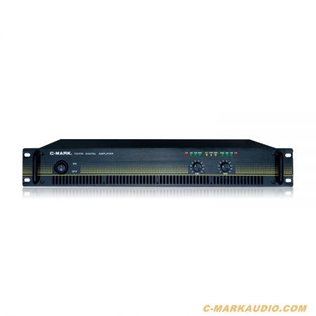  TD2500 Digital Amplifier